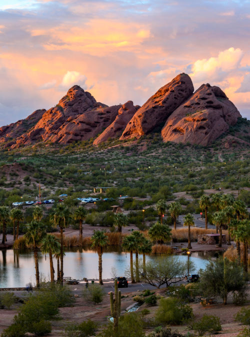 Phoenix